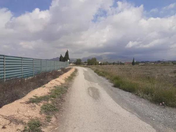 Terreno en camino viejo de novelda s/n