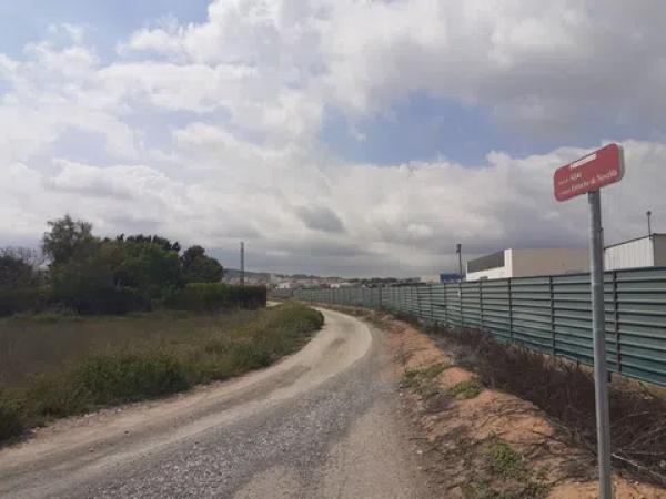 Terreno en camino viejo de novelda s/n