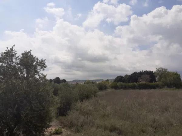 Terreno en camino viejo de novelda s/n