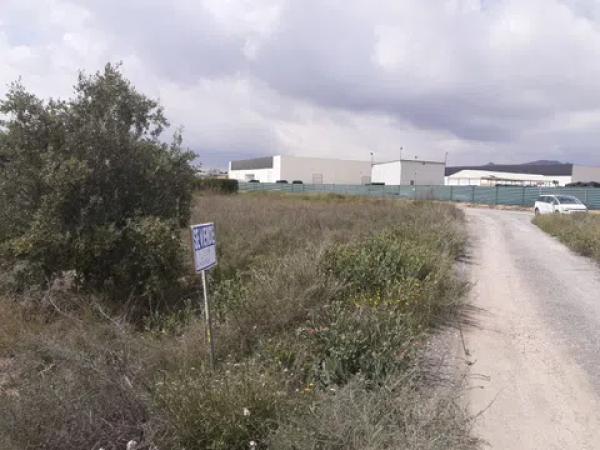 Terreno en camino viejo de novelda s/n