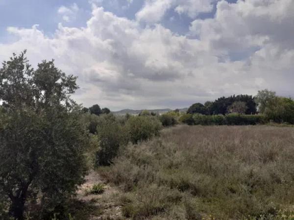 Terreno en camino viejo de novelda s/n