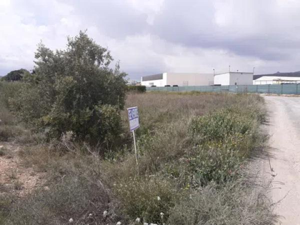 Terreno en camino viejo de novelda s/n