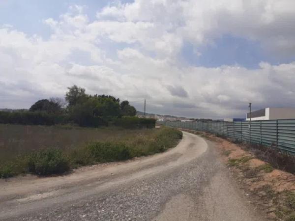 Terreno en camino viejo de novelda s/n