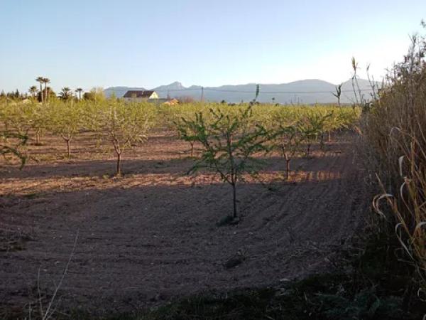 Terreno en carretera de Alicante, 1
