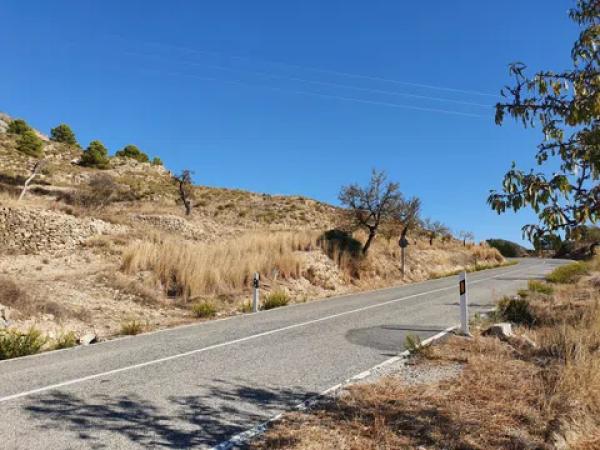 Terreno en pda la coma s/n