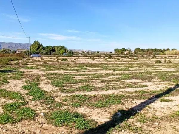 Terreno en Pda. Colorada, 25