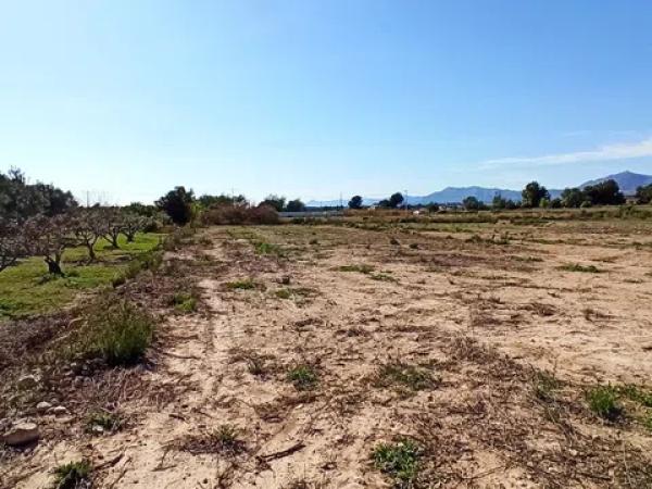 Terreno en Pda. Colorada, 25