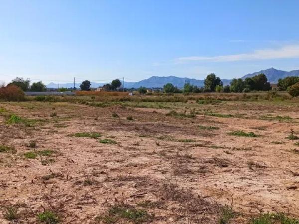 Terreno en Pda. Colorada, 25