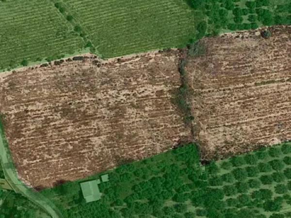 Terreno en Pda. Colorada, 25