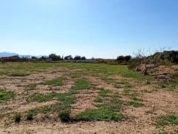 Terreno en Pda. Colorada, 25