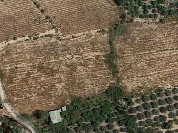 Terreno en Pda. Colorada, 25