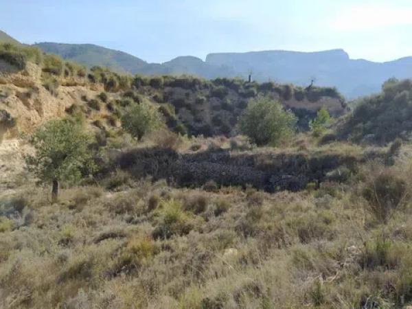Terreno en Petrer