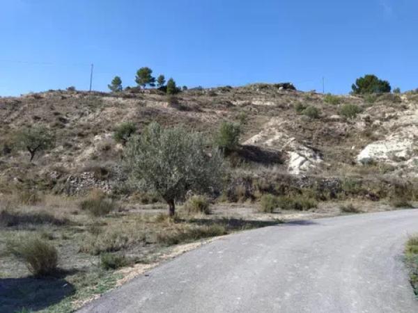 Terreno en Petrer