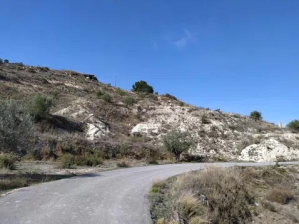 Terreno en Petrer