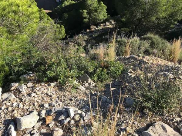 Terreno en calle Suecia