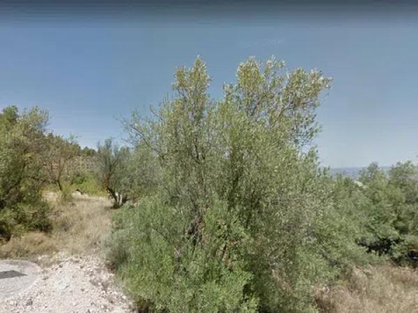 Terreno en Partida Retura, km 4