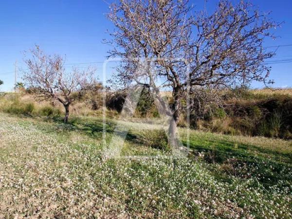 Terreno en Benissa pueblo