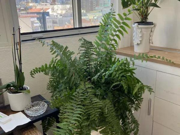 Piso en Centro Urbano