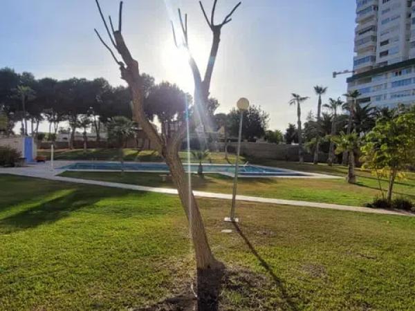 Piso en calle de Dénia