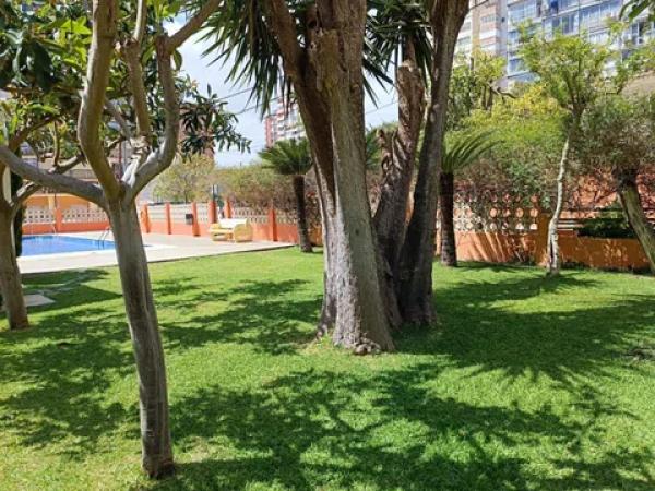 Piso en calle Mirador