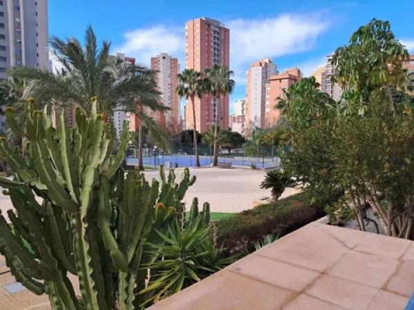 Piso en avenida del Municipi