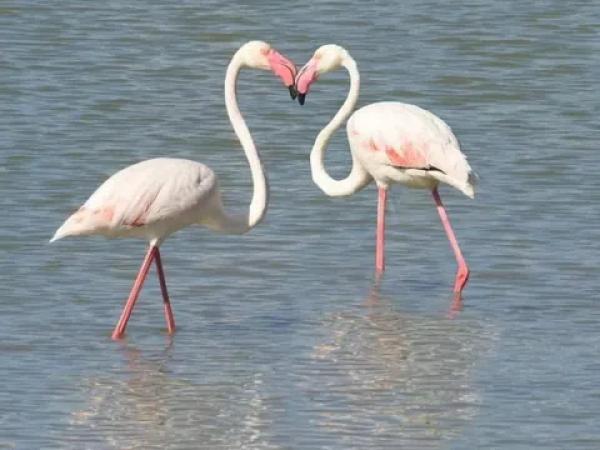 Casa independiente en Partida Maryvilla