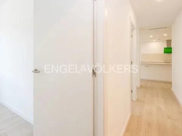 La Palma de Cervello