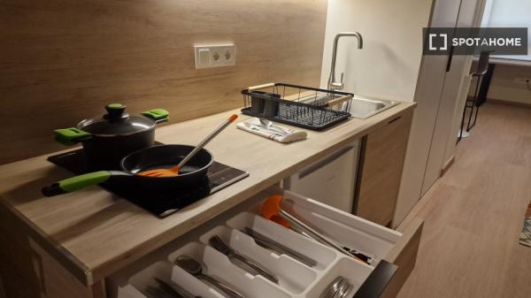 Piso estudio en alquiler en Sant Vicent del Raspeig