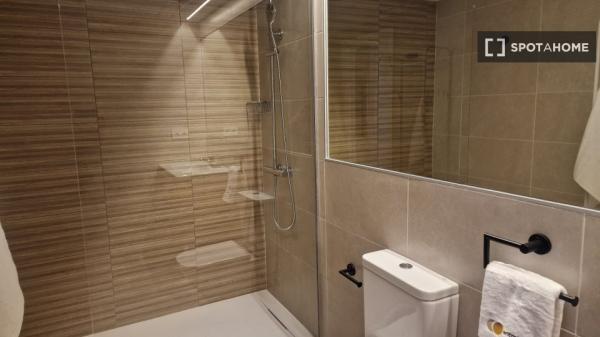 Piso estudio en alquiler en Sant Vicent del Raspeig