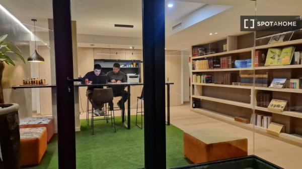 Piso estudio en alquiler en Sant Vicent del Raspeig