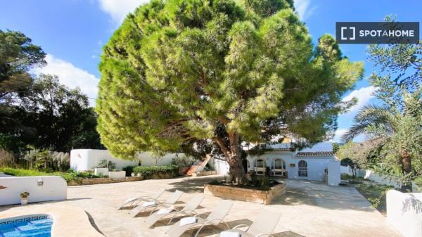 Piso entero de 7 habitaciones en Comunidad Valenciana