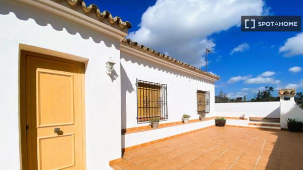 Piso entero de 7 habitaciones en Comunidad Valenciana