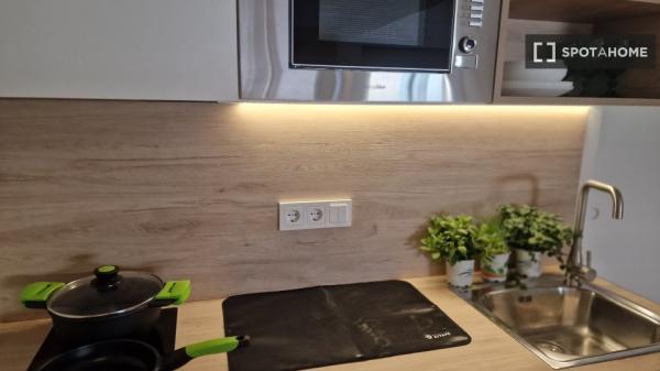 Piso estudio en alquiler en Sant Vicent del Raspeig