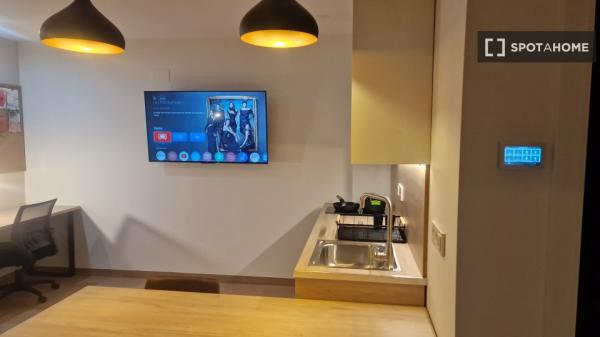 Piso estudio en alquiler en Sant Vicent del Raspeig