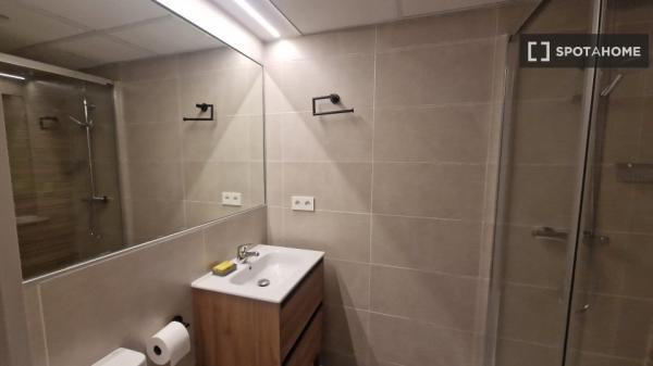 Piso estudio en alquiler en Sant Vicent del Raspeig