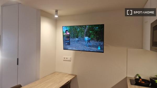 Piso estudio en alquiler en Sant Vicent del Raspeig