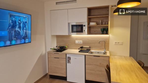 Piso estudio en alquiler en Sant Vicent del Raspeig