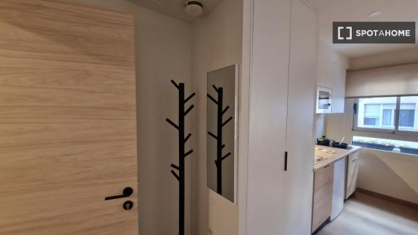 Piso estudio en alquiler en Sant Vicent del Raspeig