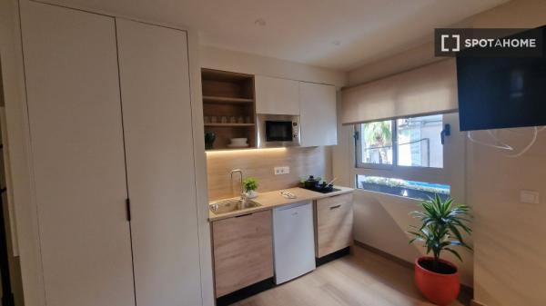 Piso estudio en alquiler en Sant Vicent del Raspeig