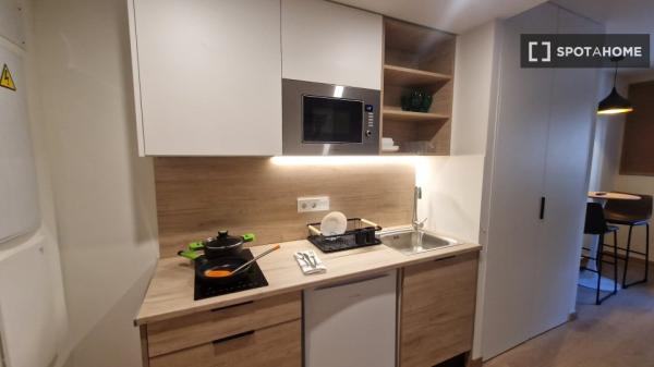 Piso estudio en alquiler en Sant Vicent del Raspeig