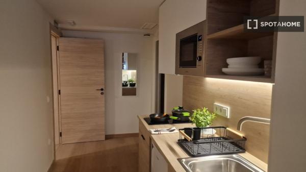 Piso estudio en alquiler en Sant Vicent del Raspeig