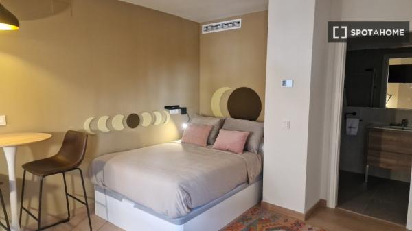 Piso estudio en alquiler en Sant Vicent del Raspeig