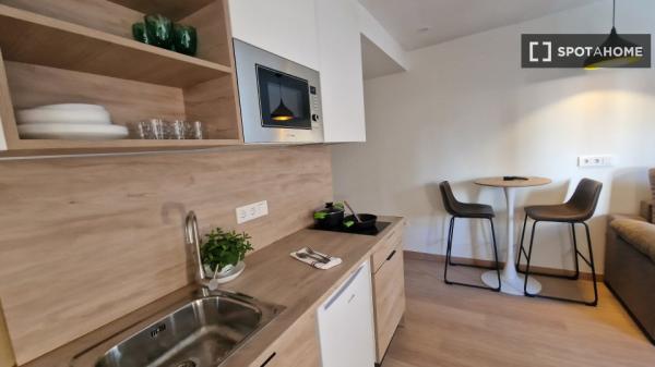 Piso estudio en alquiler en Sant Vicent del Raspeig