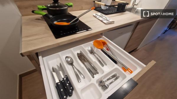 Piso estudio en alquiler en Sant Vicent del Raspeig