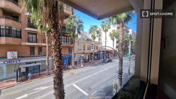 Piso estudio en alquiler en Sant Vicent del Raspeig