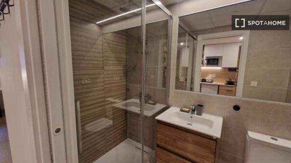 Piso estudio en alquiler en Sant Vicent del Raspeig