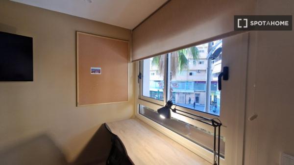 Piso estudio en alquiler en Sant Vicent del Raspeig