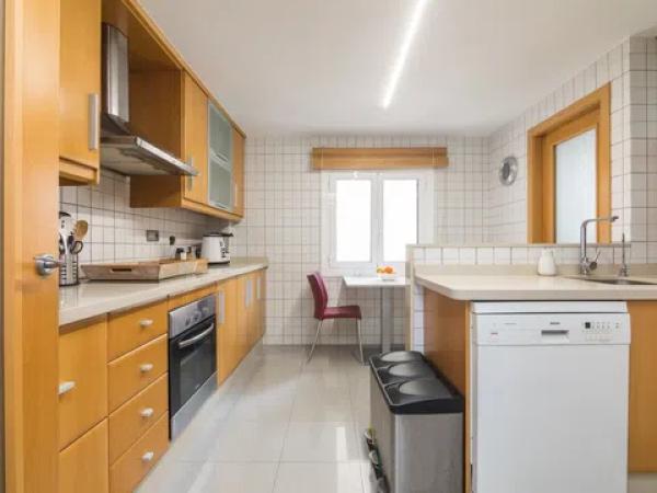 Piso en avenida Oscar Espla s/n