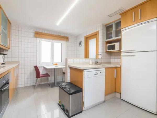 Piso en avenida Oscar Espla s/n