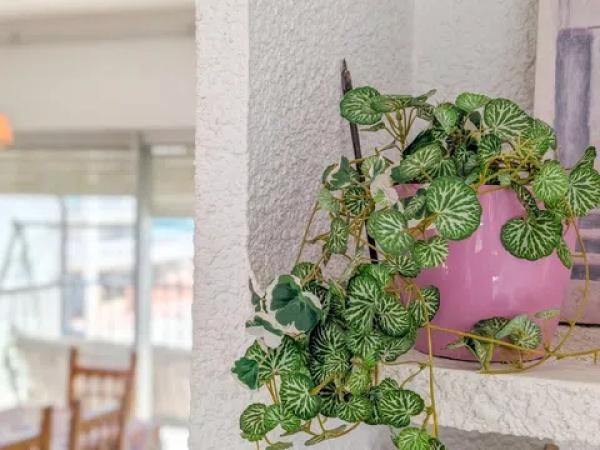 Piso en avenida de Murcia